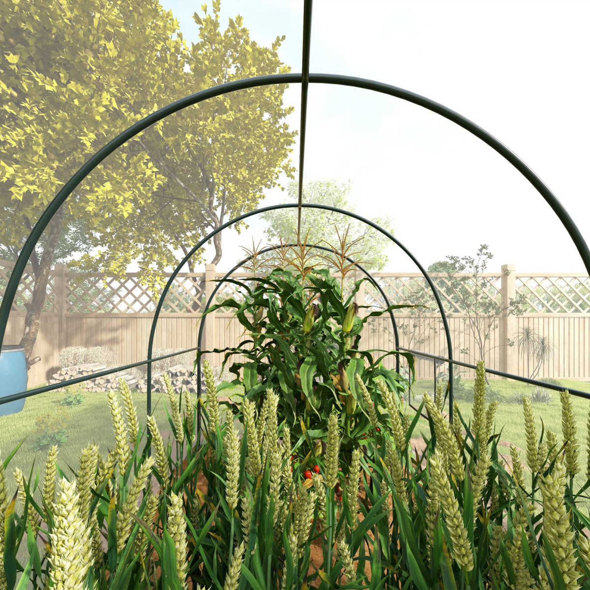 cortex-london-york-polytunnel-greenhouse-3-x-2-x-2m-clear-steel-plastic