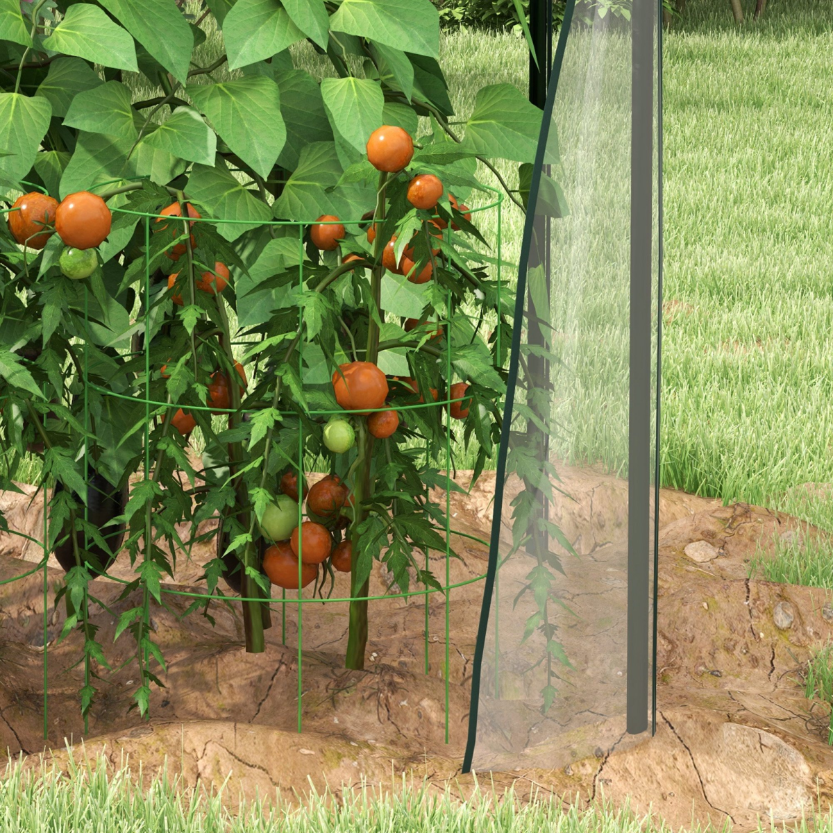 cortex-london-windsor-tomato-greenhouse-clear-steel-plastic-uv-resistant-cover-two-zipped-doors