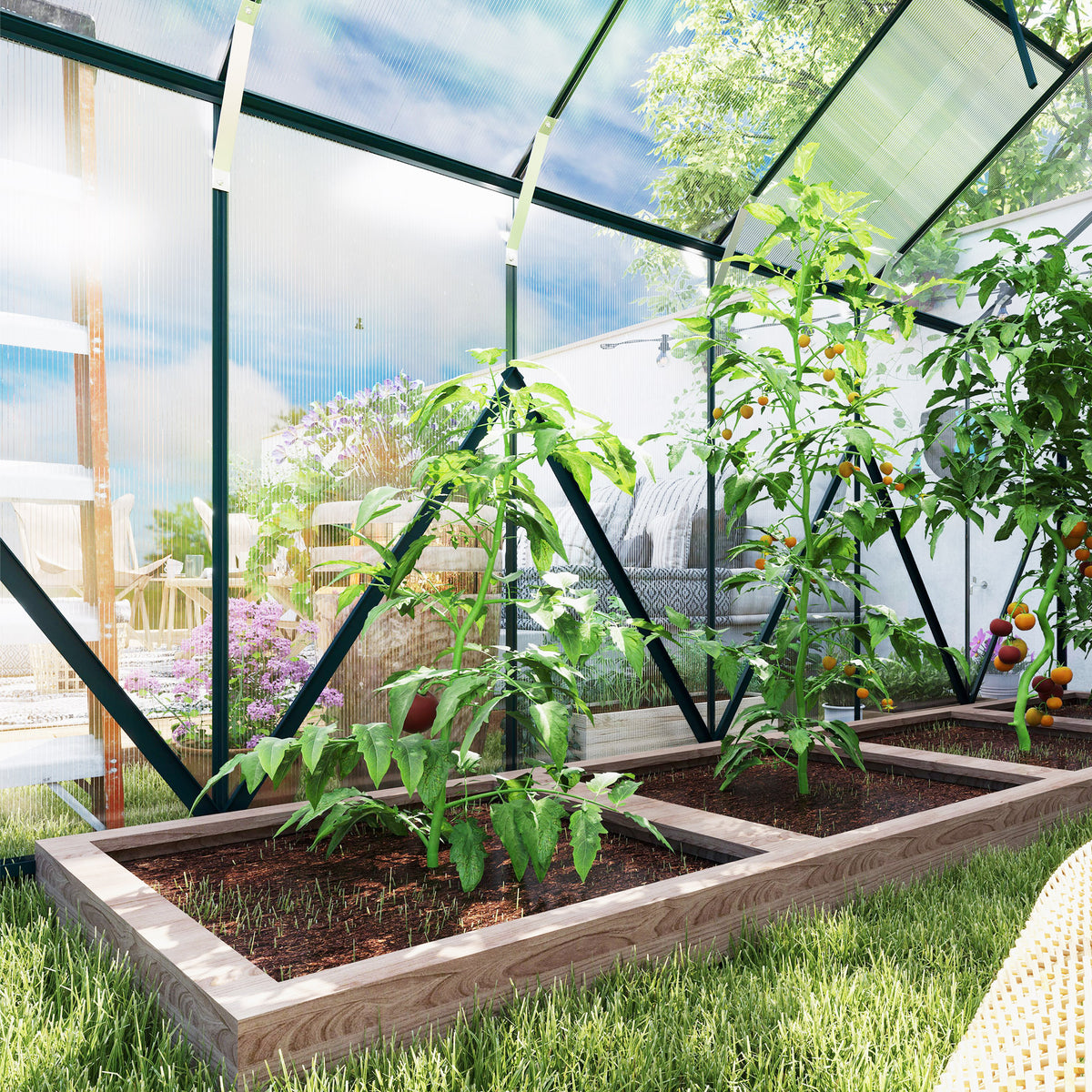 cortex-london-york-eight-by-twelve-foot-polycarbonate-walk-in-greenhouse