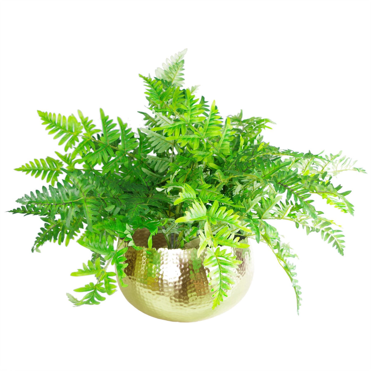 cortex-london-windsor-leaf-hammered-gold-metal-planter-bowl-curvy-edge