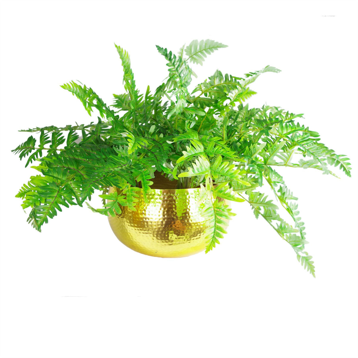 Leaf Large Metal Planter Bowl 32 x 20cm Hammered Gold Colour - Straight Edge