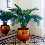 cortex-london-kensington-cycas-palm-artificial-tropical-tree-80cm-green-fronded-leaves
