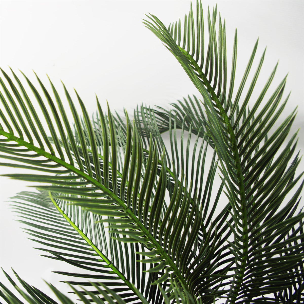 cortex-london-kensington-cycas-palm-artificial-tropical-tree-80cm-green-fronded-leaves