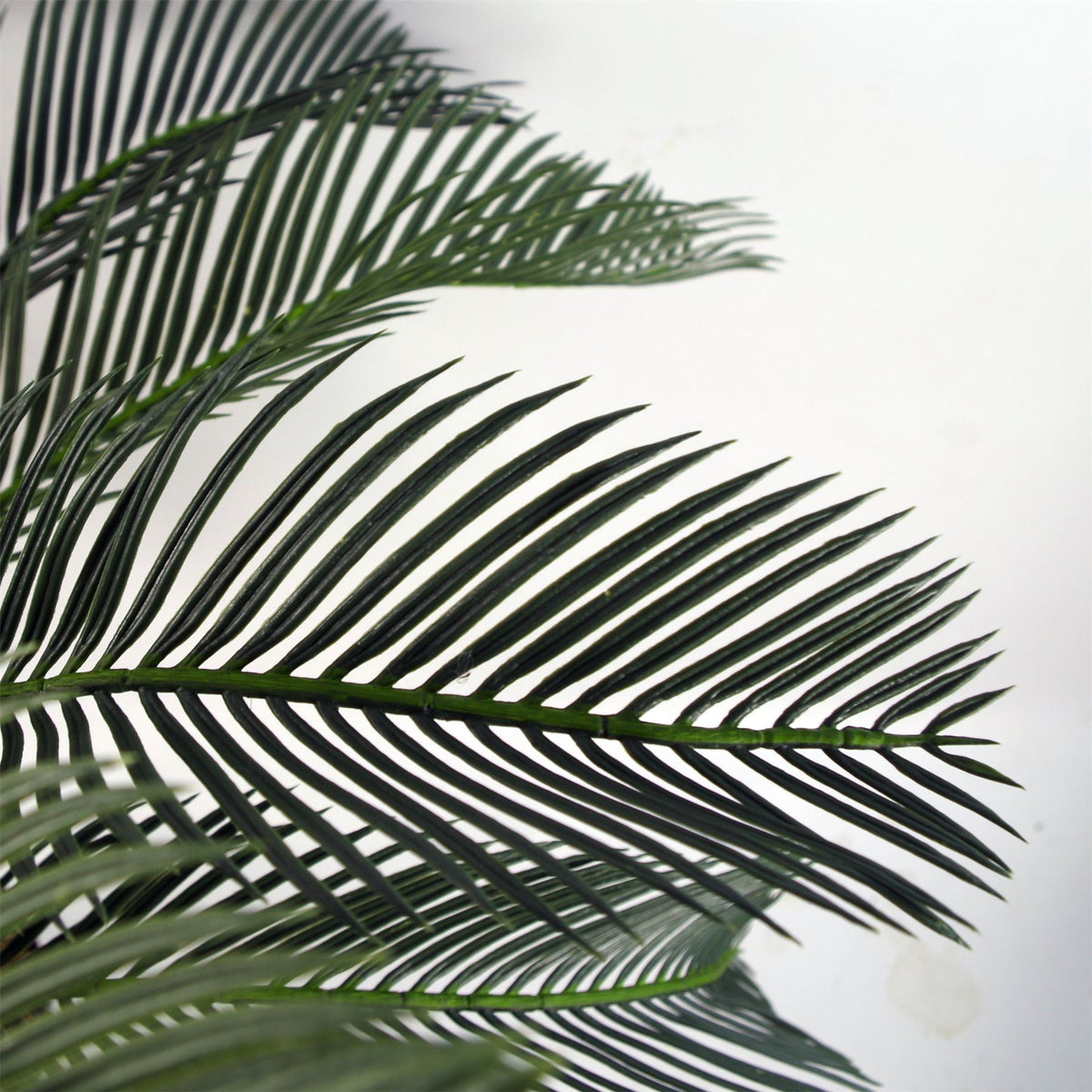 cortex-london-kensington-cycas-palm-artificial-tropical-tree-80cm-green-fronded-leaves