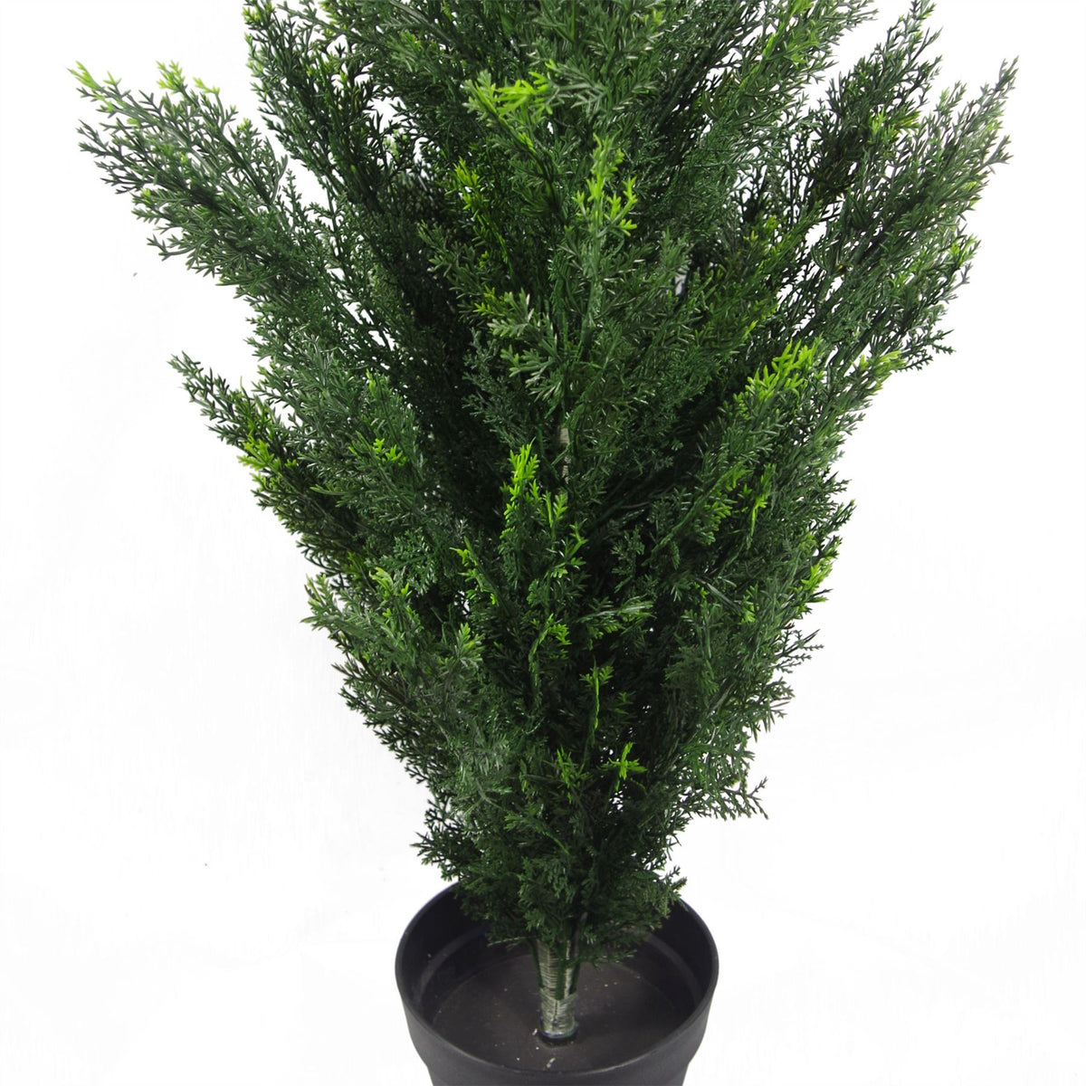 cortex-london-windsor-cedar-cypress-topiary-pair-120cm-uv-resistant-artificial