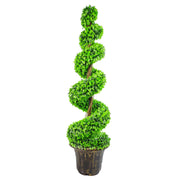 cortex-london-windsor-120cm-green-large-leaf-artificial-spiral-tree-decorative-plastic-planter