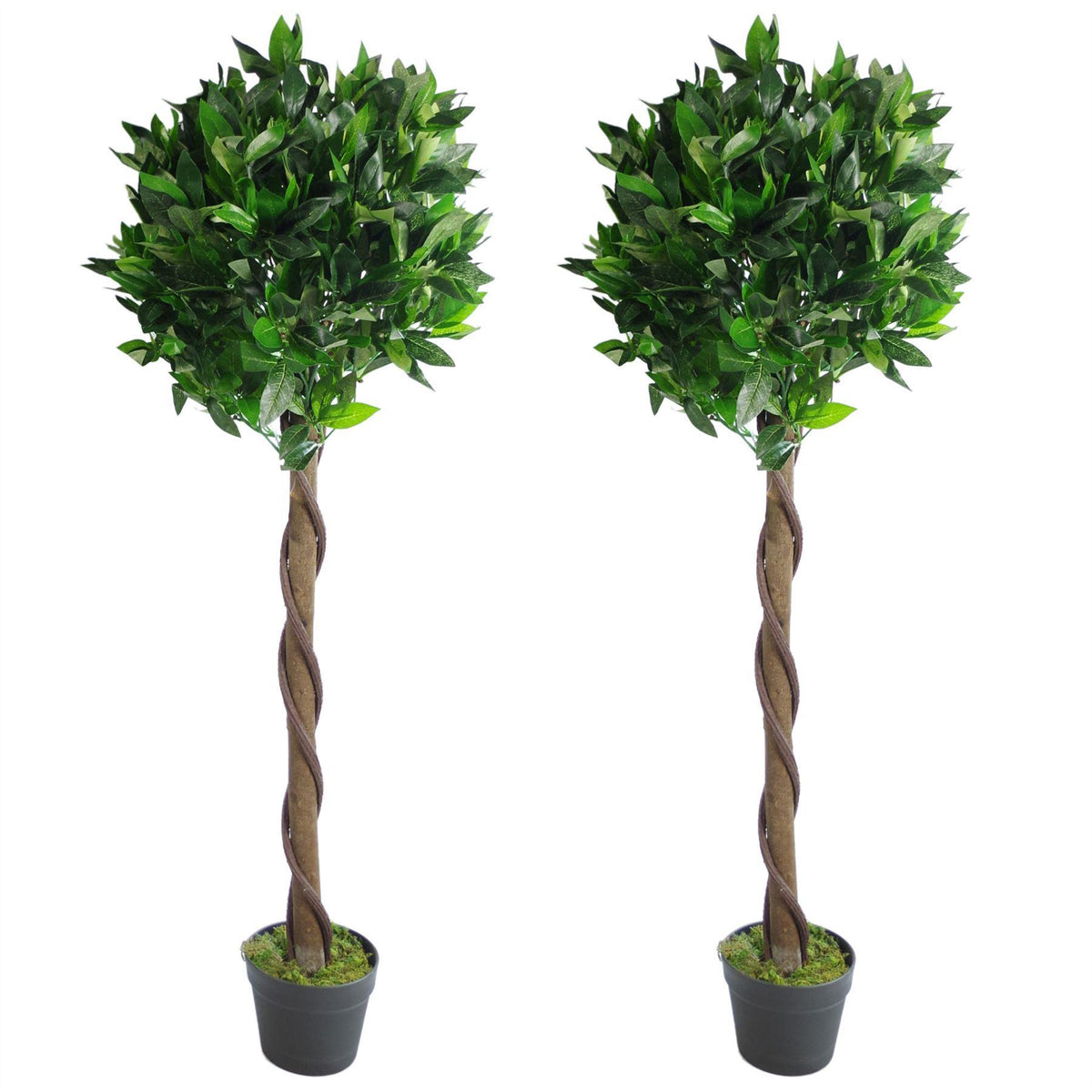 cortex-london-windsor-pair-120cm-artificial-bay-laurel-topiary-ball-trees