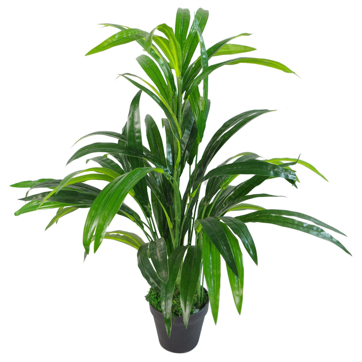 cortex-london-york-bamboo-shrub-plant-silver-metal-planter-65cm