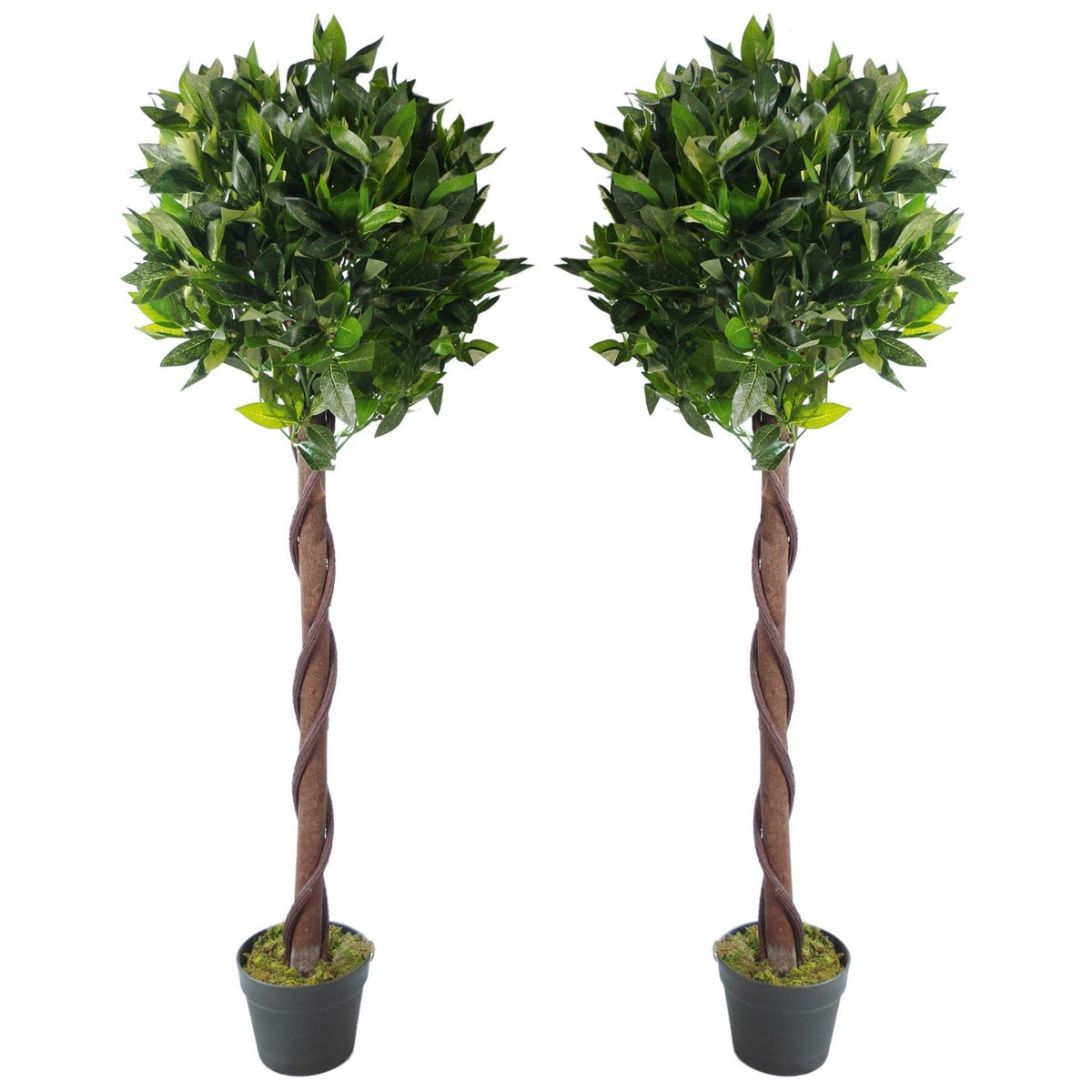 cortex-london-windsor-pair-artificial-twisted-trunk-bay-laurel-ball-trees-120cm