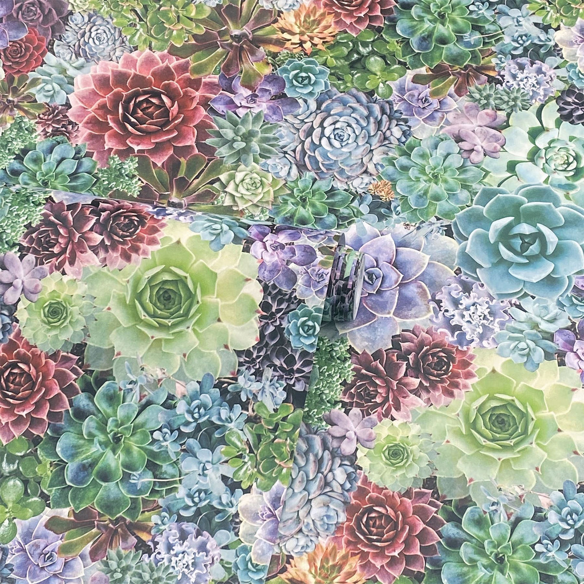 cortex-london-kew-succulent-living-wall-wallpaper-sw12
