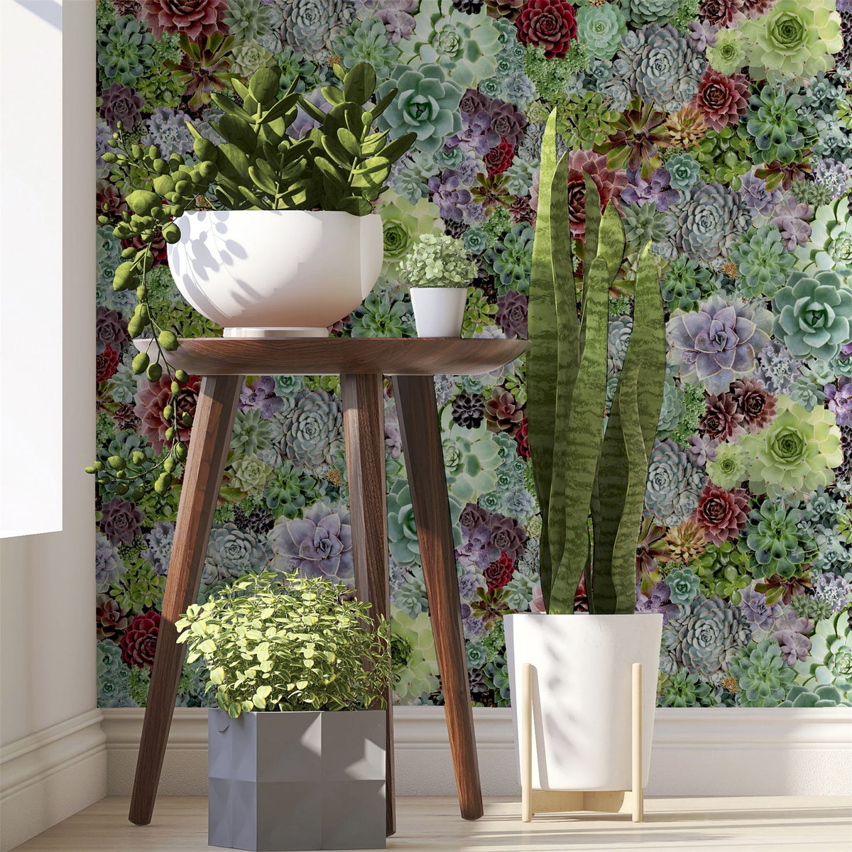 cortex-london-kew-succulent-living-wall-wallpaper-sw12