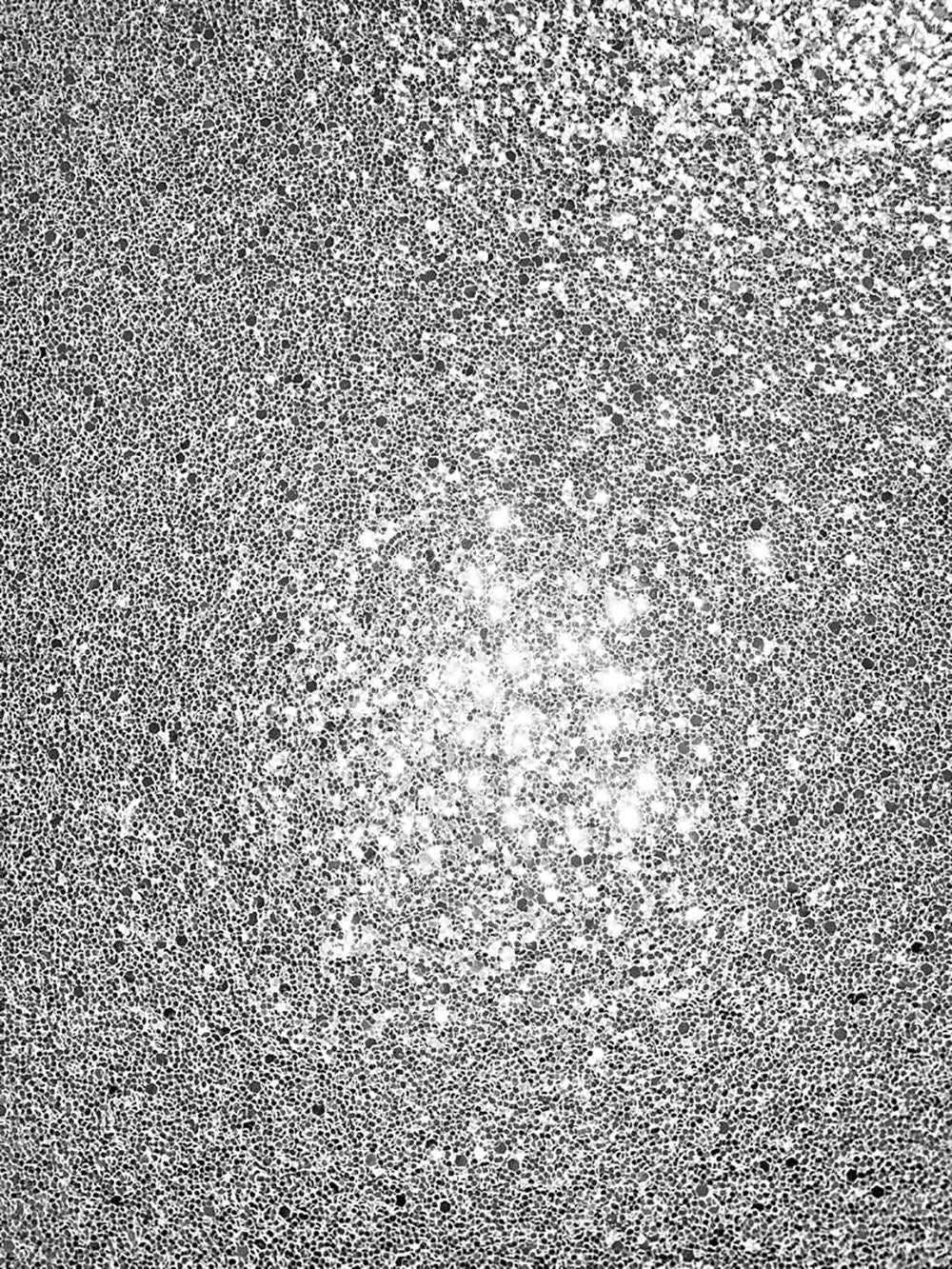 cortex-london-kensington-silver-sequin-sparkle-wallpaper