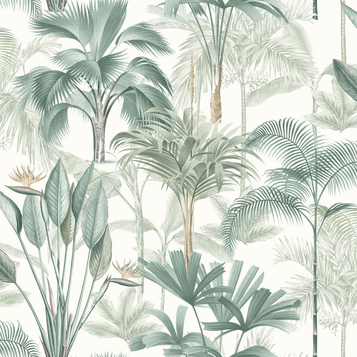 cortex-london-kew-king-palm-green-wallpaper-tropical-trees