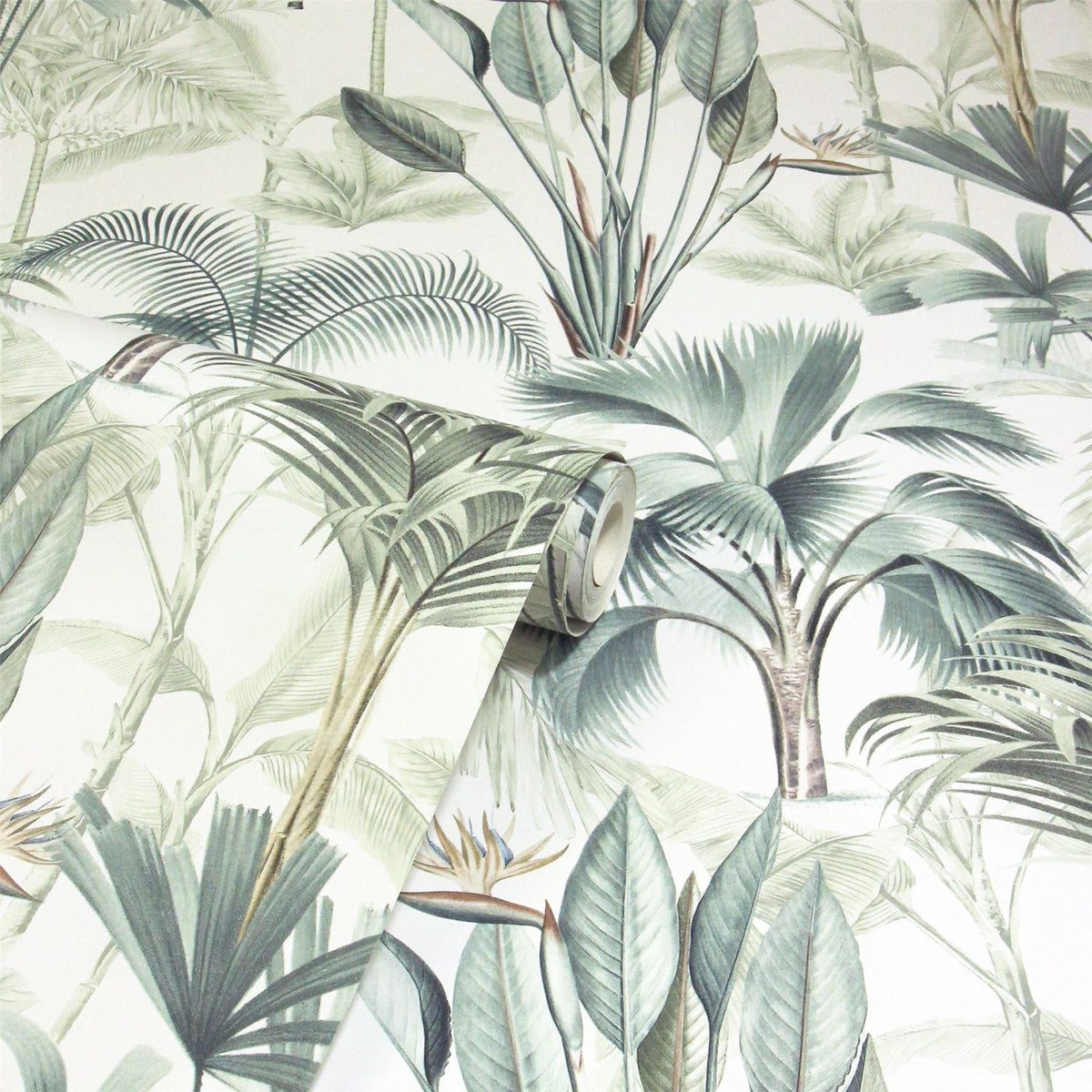 cortex-london-kew-king-palm-green-wallpaper-tropical-trees