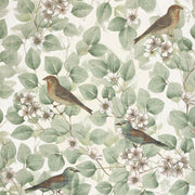 cortex-london-birds-blossoms-green-sw12-vintage-style-wallpaper