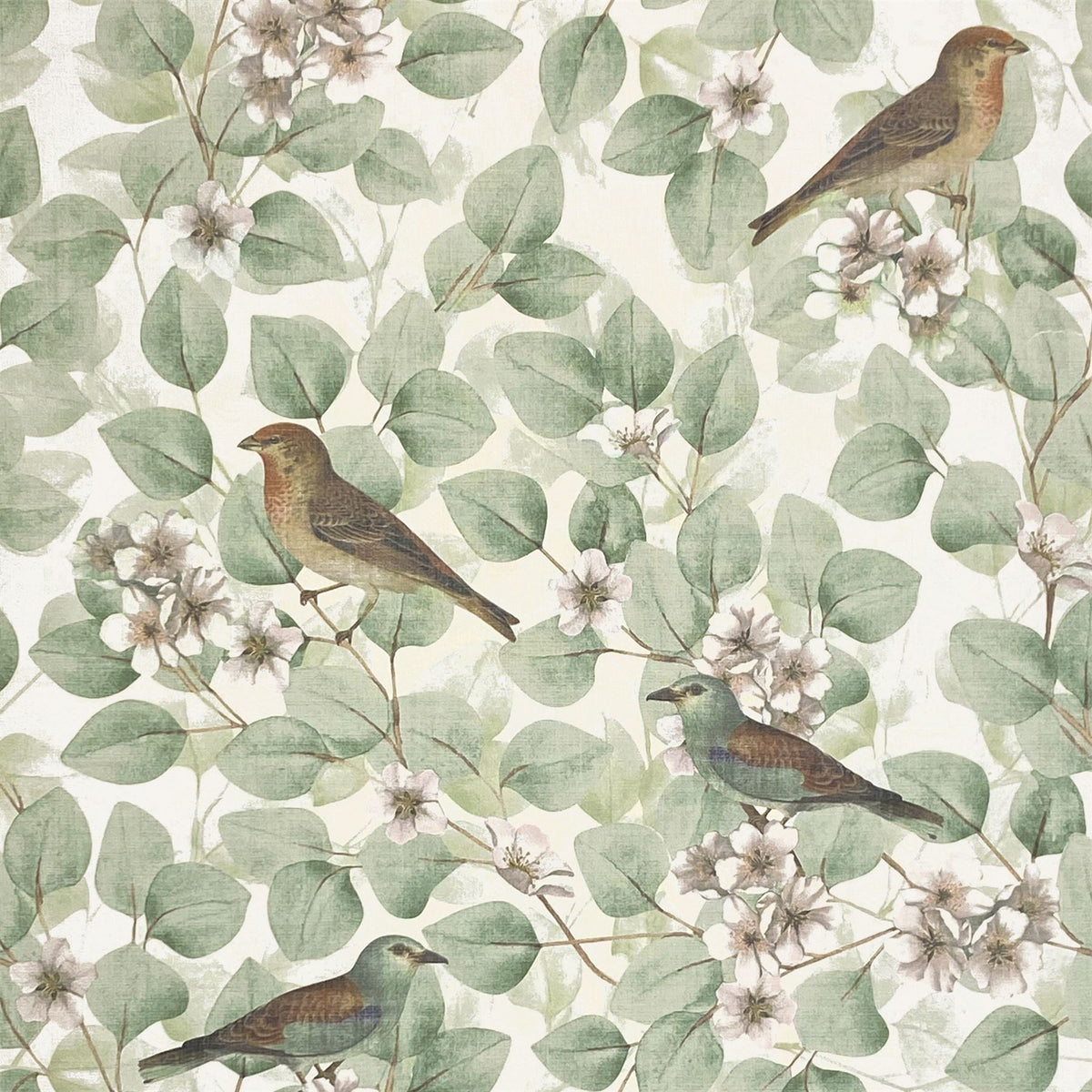 cortex-london-birds-blossoms-green-sw12-vintage-style-wallpaper