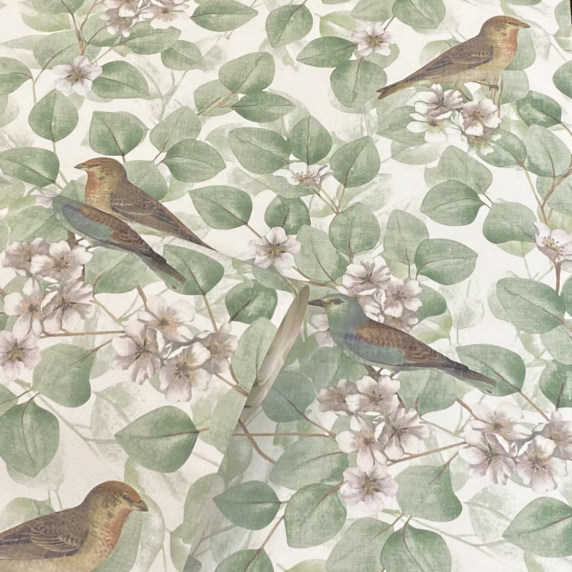 cortex-london-birds-blossoms-green-sw12-vintage-style-wallpaper
