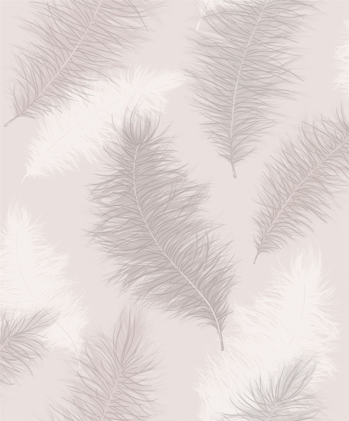 cortex-london-windsor-sussurro-blush-feather-wallpaper