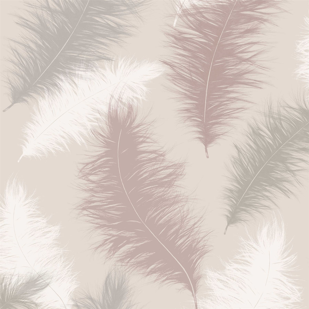 cortex-london-windsor-sussurro-blush-feather-wallpaper
