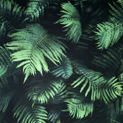 cortex-london-kew-fern-green-photographic-wallpaper