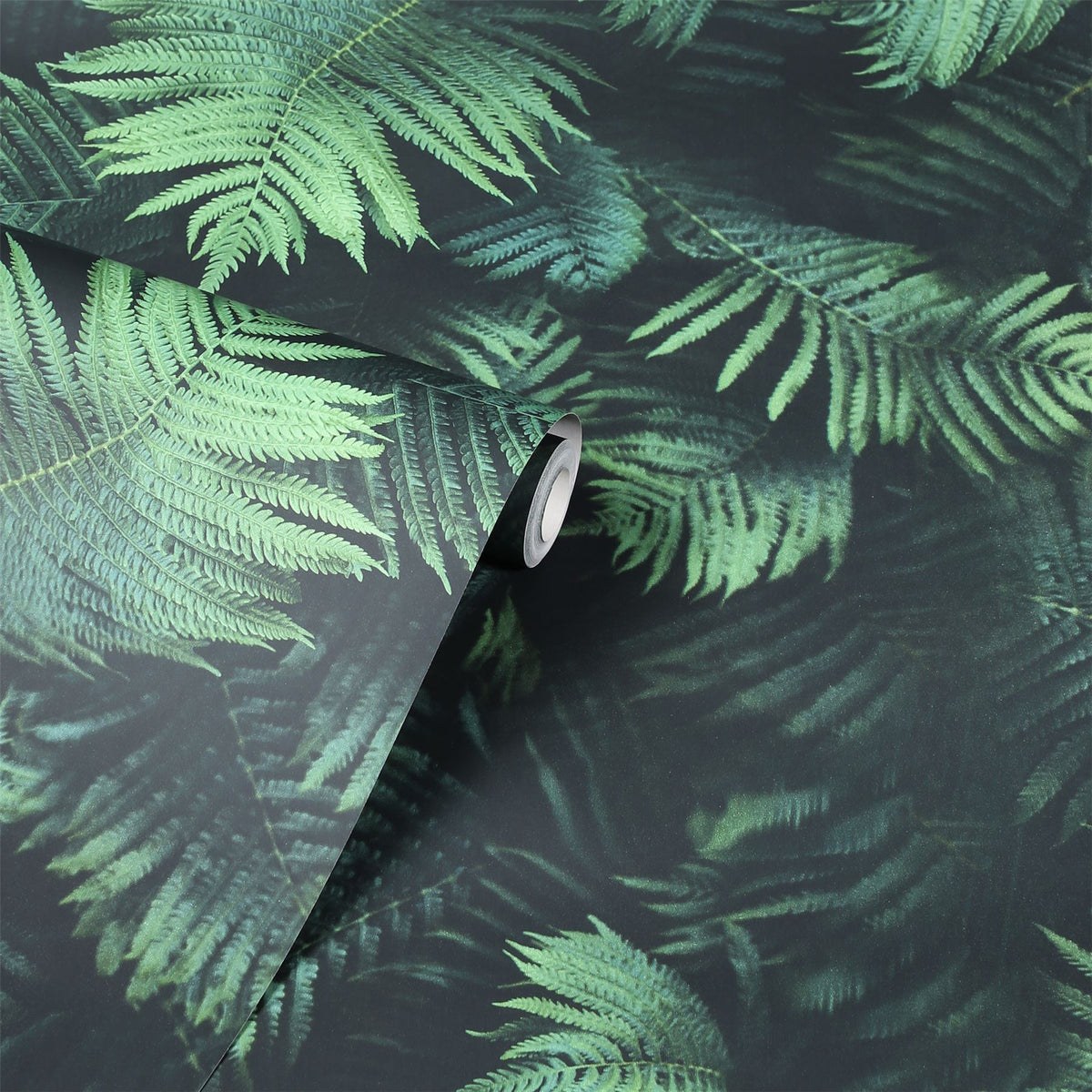 cortex-london-kew-fern-green-photographic-wallpaper