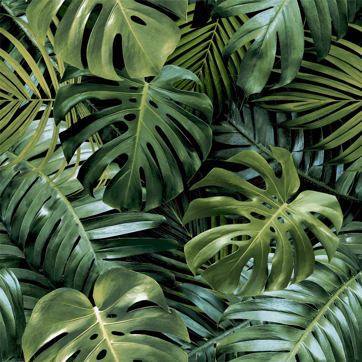 cortex-london-greenwich-living-wall-tropical-foliage-wallpaper