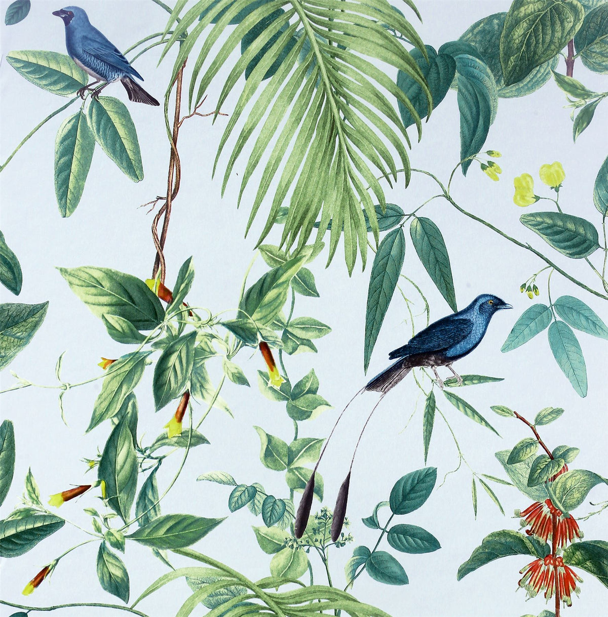 cortex-london-kew-exotic-garden-blue-botanical-design-colourful-birds-flowers