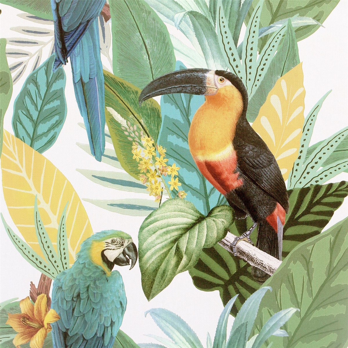 cortex-london-kensington-toucan-jungle-design