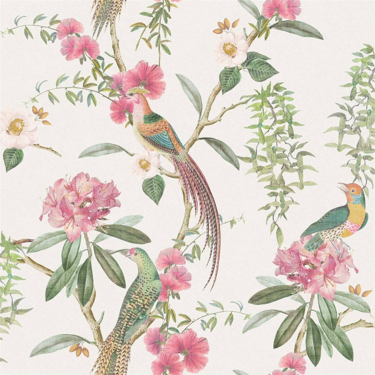 cortex-london-kensington-exotic-garden-pink-green-wallpaper-birds-flowers-cream-background