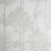 cortex-london-windsor-stardust-gold-tree-wallpaper-neutral