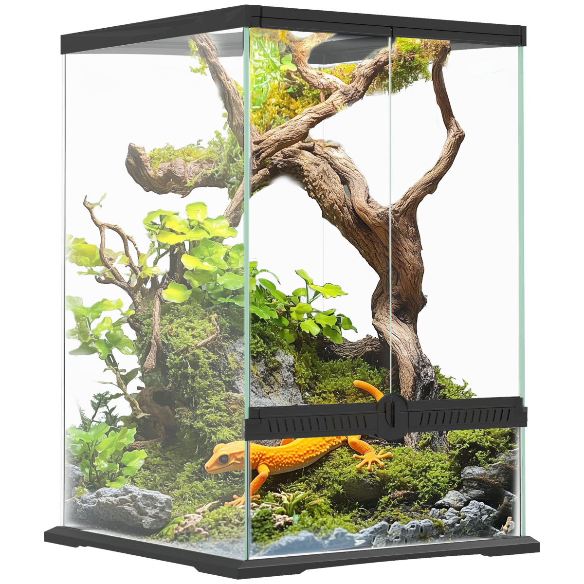 cortex-london-windsor-40l-glass-reptile-terrarium-black