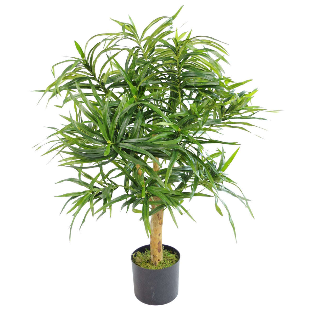 cortex-london-bath-artificial-dracaena-plant-tree-100cm-with-pot