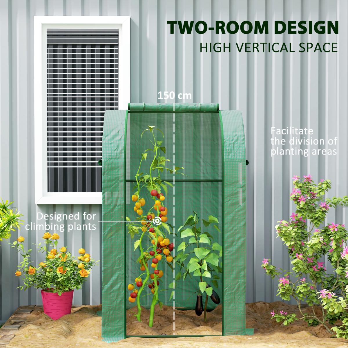 cortex-london-york-two-room-tomato-greenhouse-white-steel-polyethylene