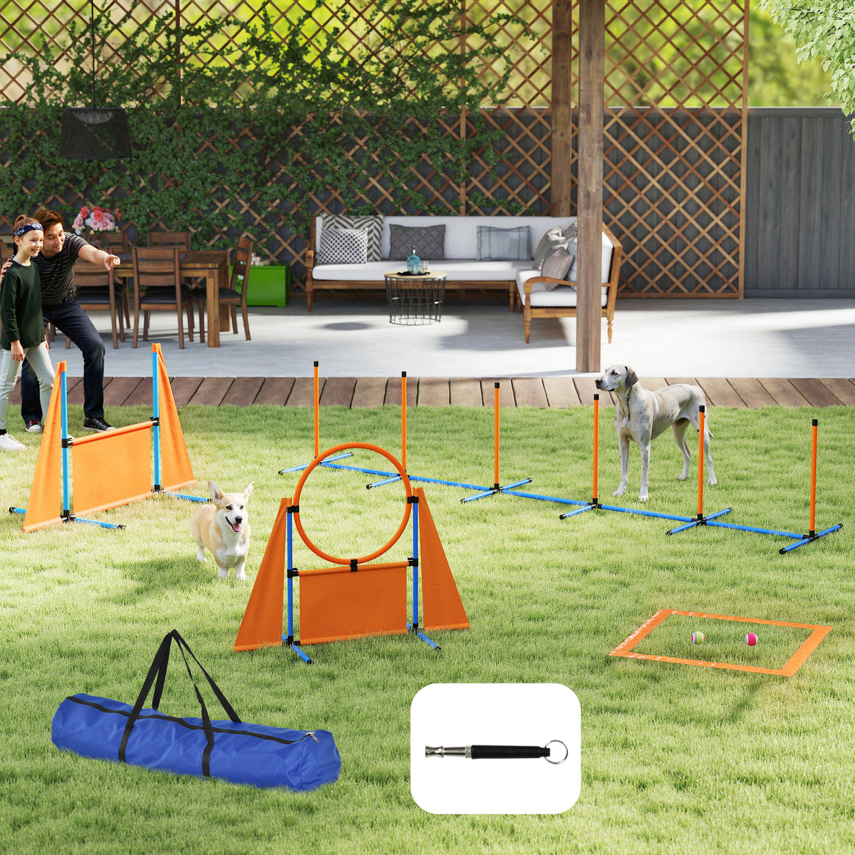 cortex-london-york-dog-agility-training-kit-six-piece-jumps-weave-poles-blue-orange