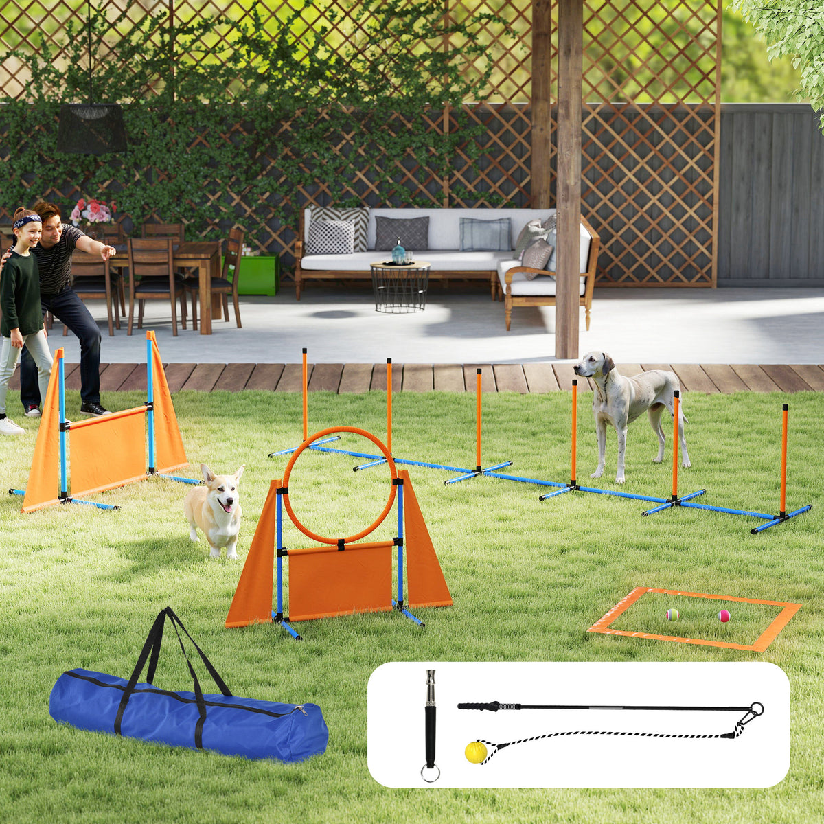 cortex-london-york-pawhut-seven-piece-dog-agility-equipment-orange-blue