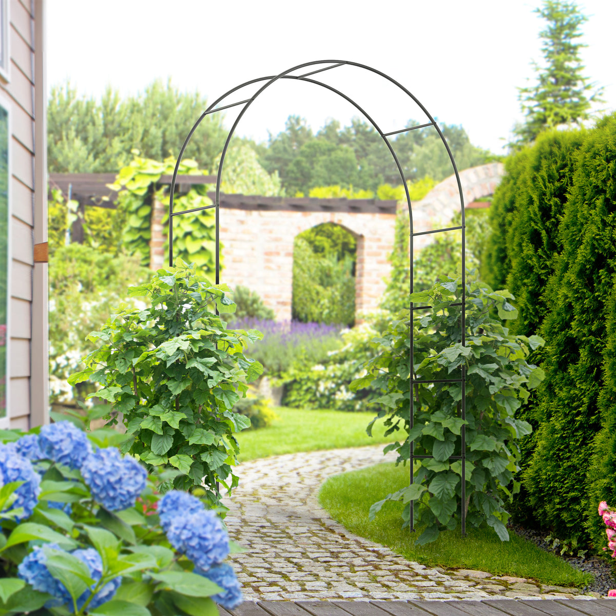 cortex-london-windsor-black-metal-garden-arch-for-climbing-plants