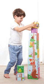 cortex-london-windsor-lelin-forest-stacking-cubes-1-to-10