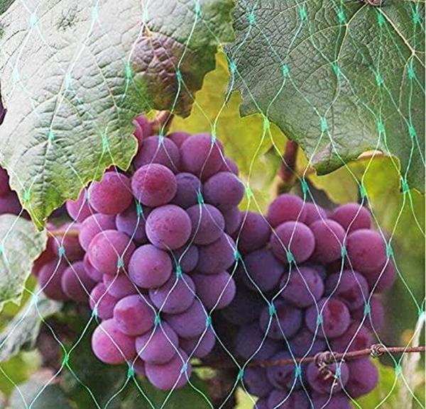 cortex-london-york-aspect-garden-netting-two-pack-10m-x-2m