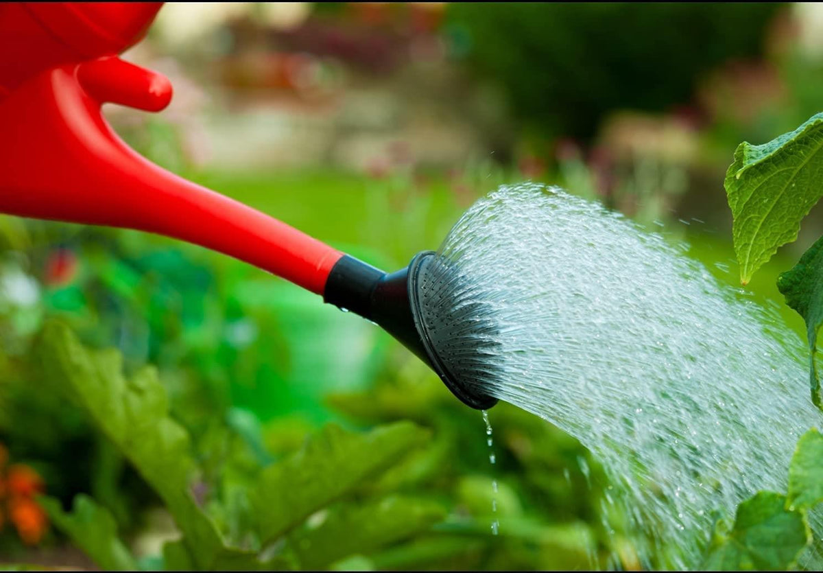 cortex-london-york-red-6l-garden-watering-can