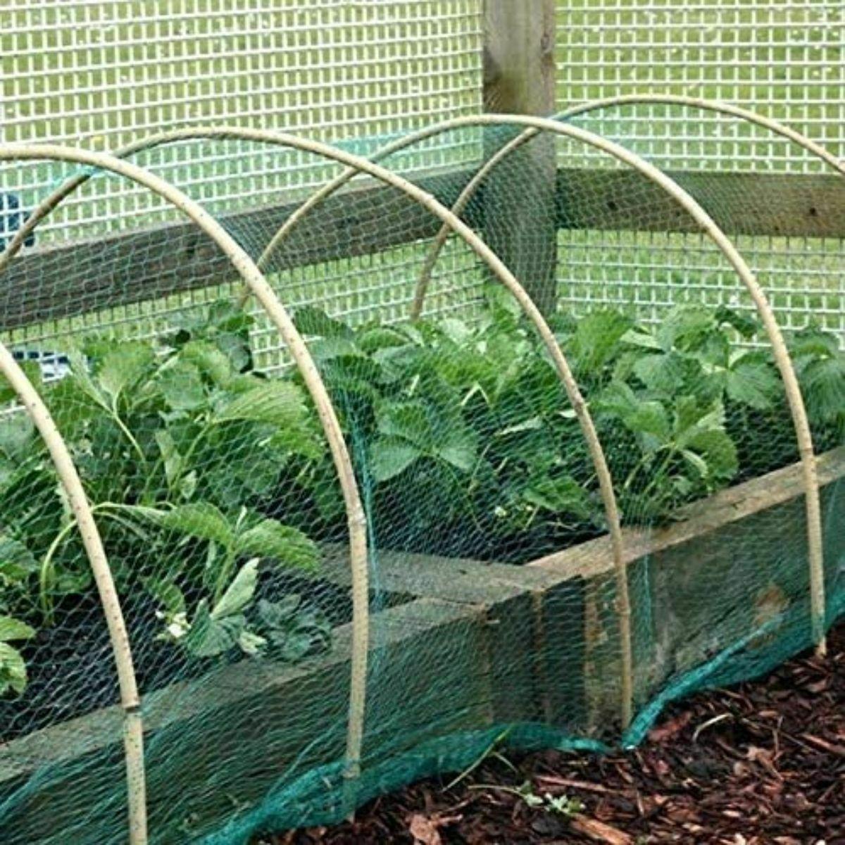 cortex-london-windsor-garden-netting-six-pack-2m-10m