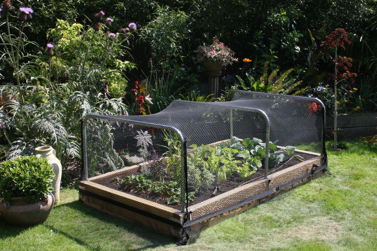 cortex-london-windsor-garden-netting-six-pack-2m-10m
