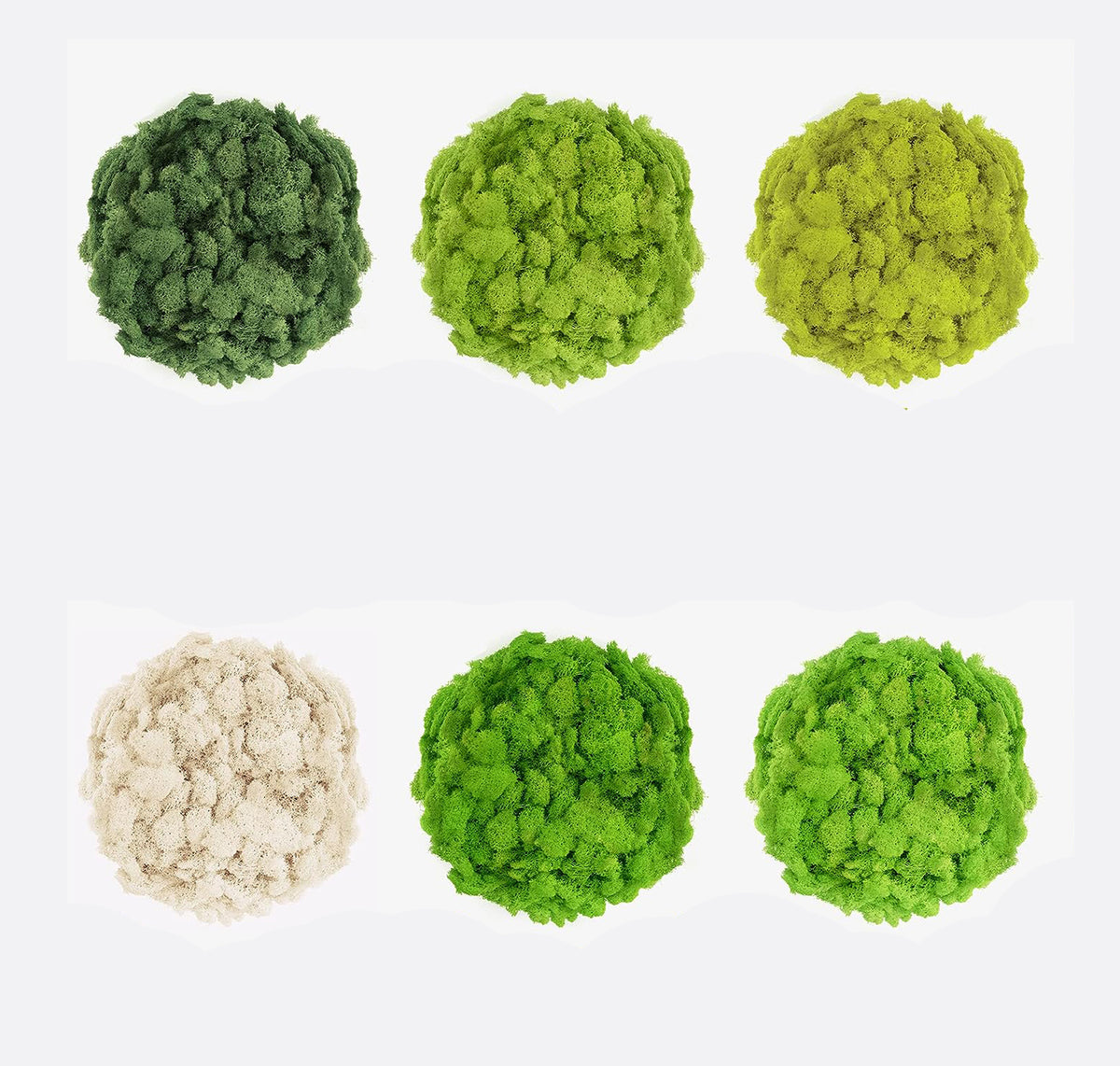 cortex-london-york-moss-floral-display-colourful-resin-decoration