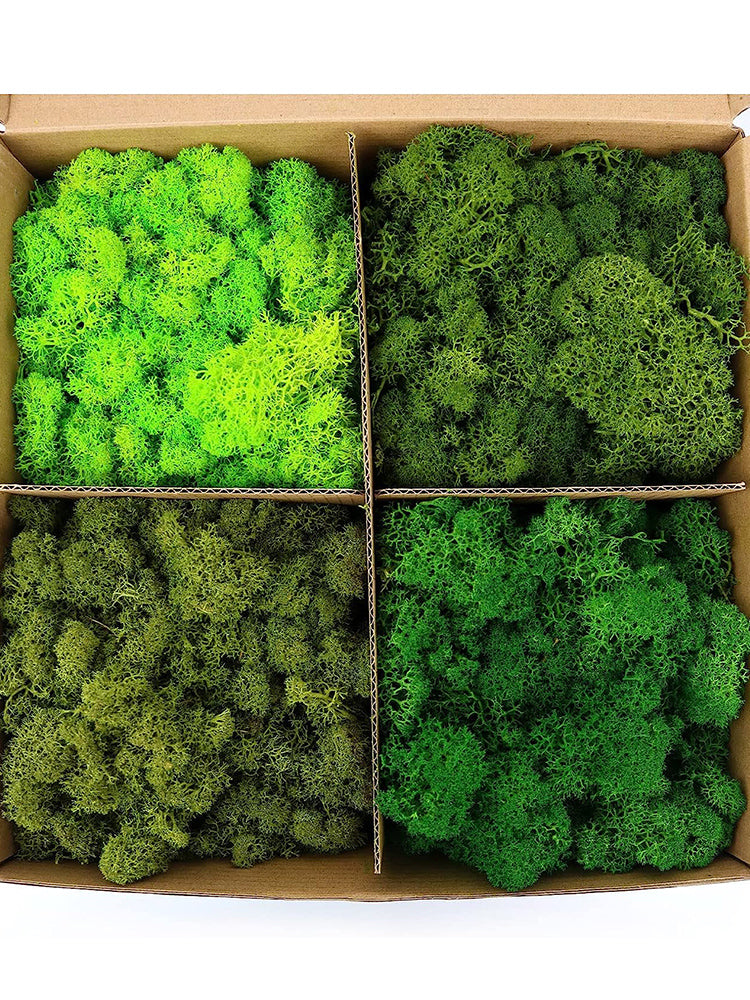 cortex-london-york-moss-floral-display-colourful-resin-decoration