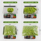 cortex-london-york-moss-floral-display-colourful-resin-decoration