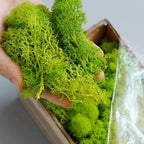 cortex-london-york-moss-floral-display-colourful-resin-decoration