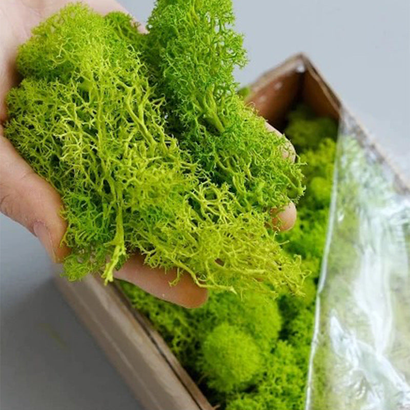 cortex-london-york-moss-floral-display-colourful-resin-decoration