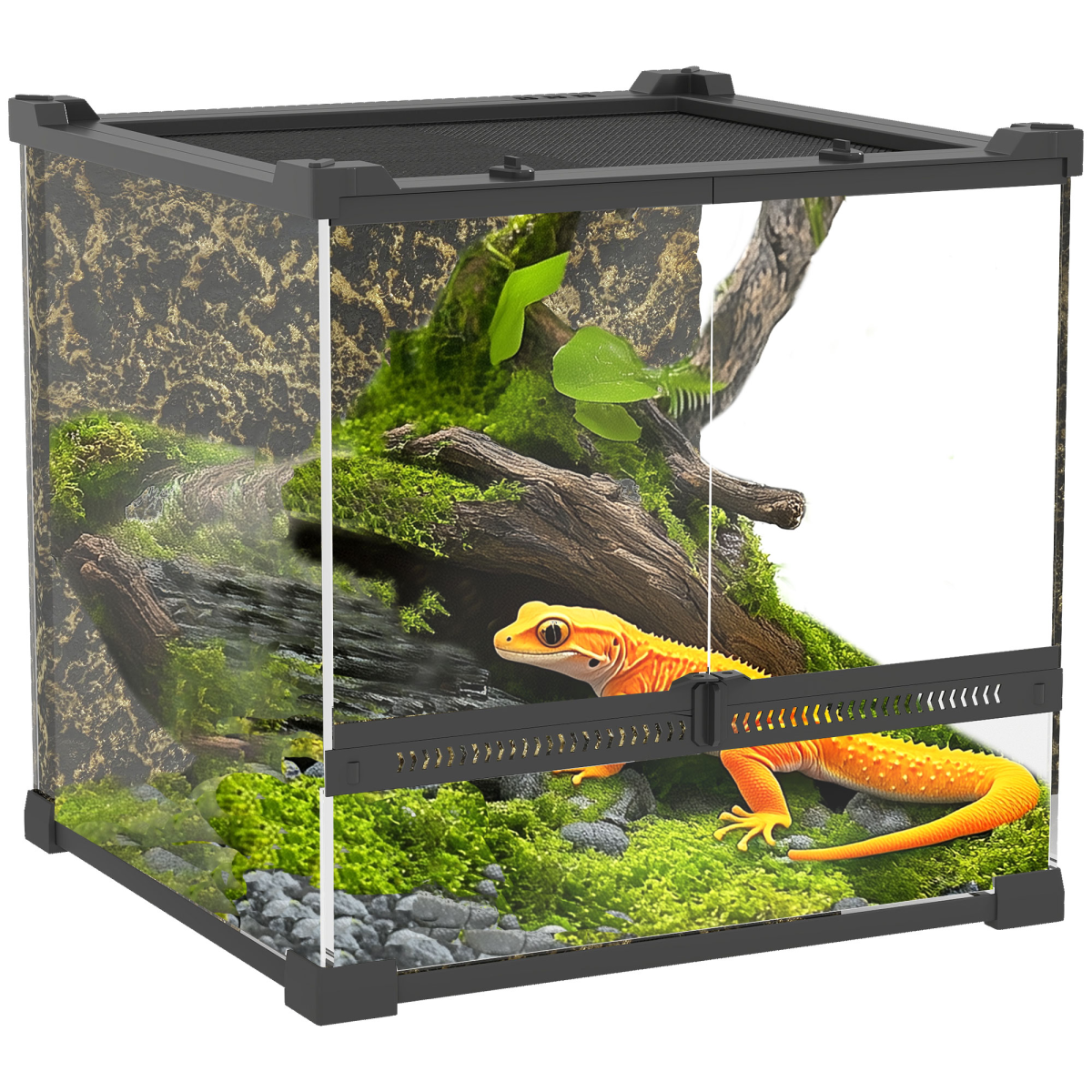 cortex-london-windsor-10l-glass-reptile-vivarium-black