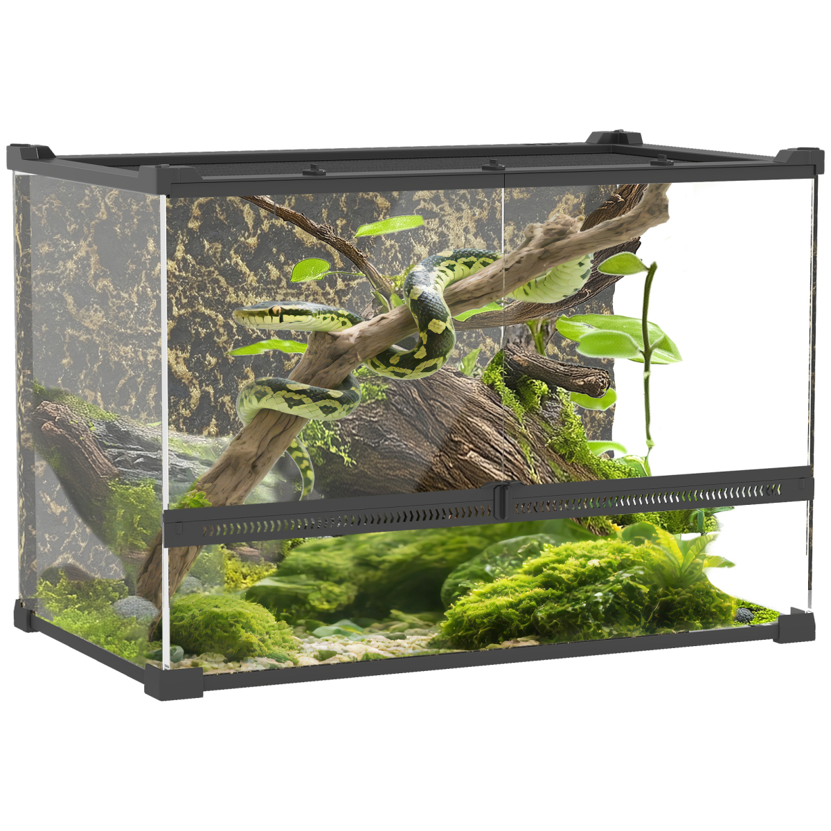 cortex-london-windsor-10l-glass-reptile-vivarium-black