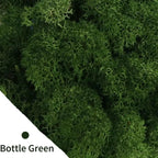 cortex-london-york-moss-floral-display-colourful-resin-decoration