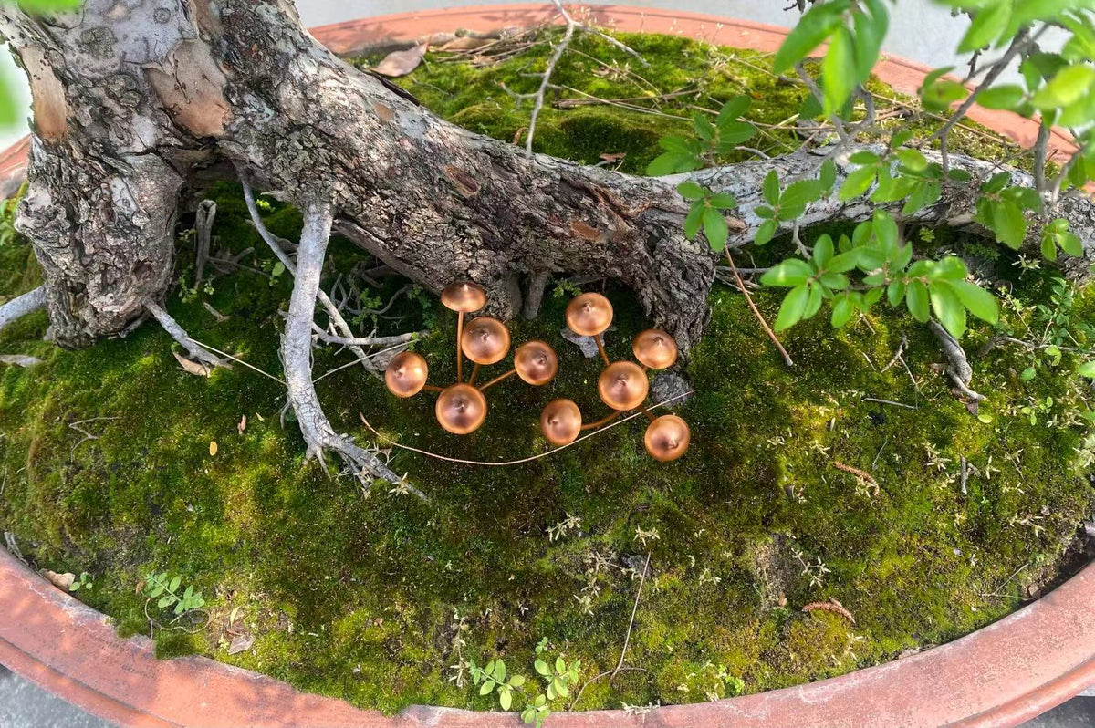 cortex-london-copper-finish-mushroom-garden-stakes-set-of-2